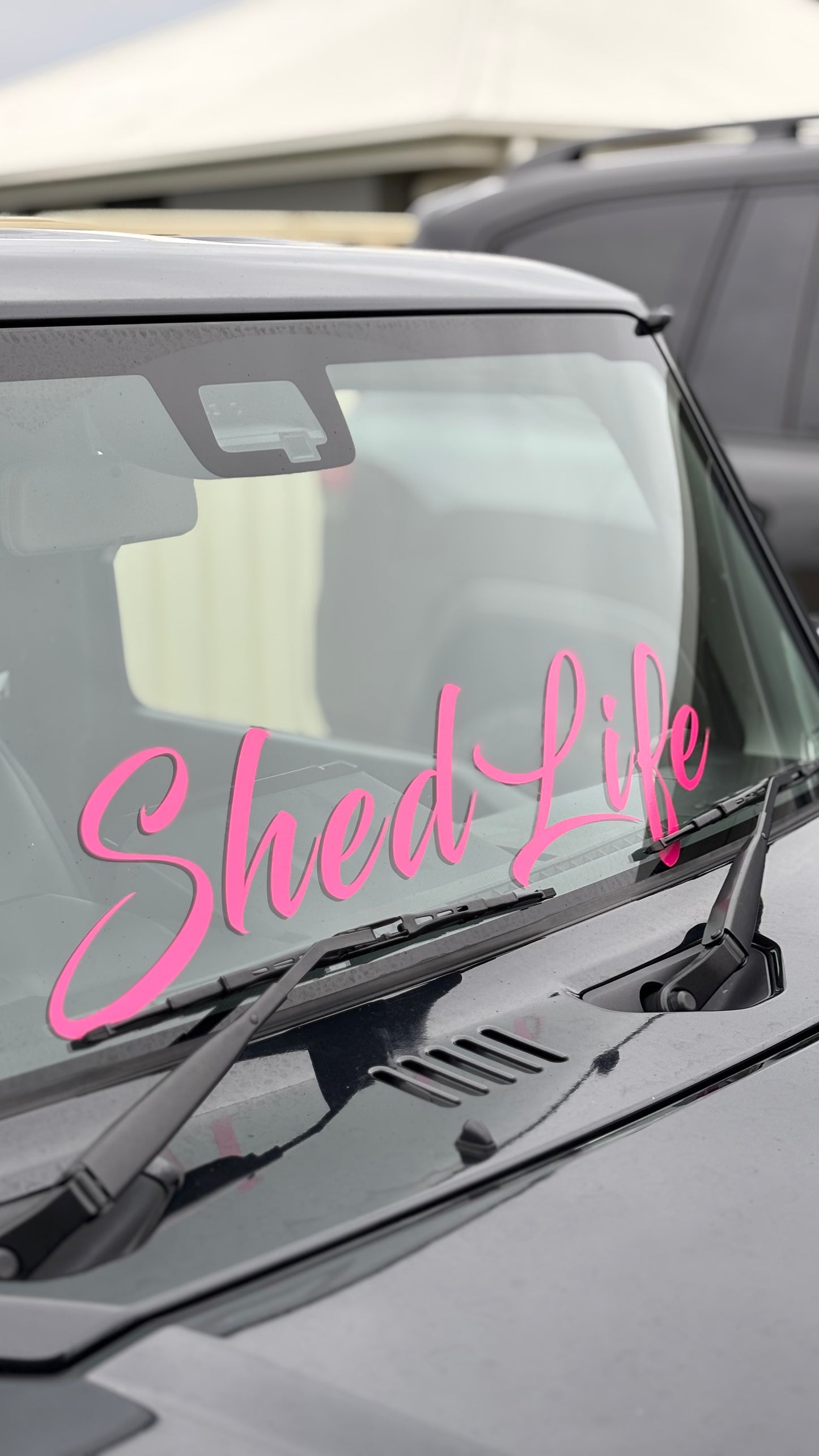 So Stickyyy Charity Shedlife x Bloomhill